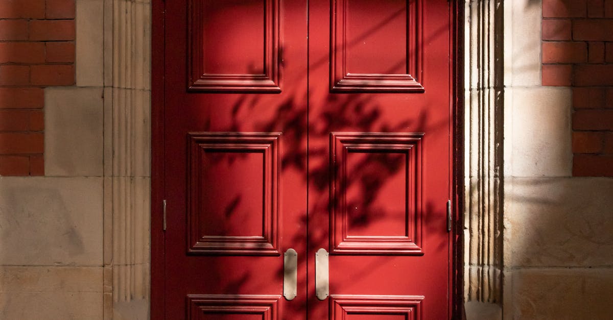 An In-Depth Look at Auricular Acupuncture for Pain Management