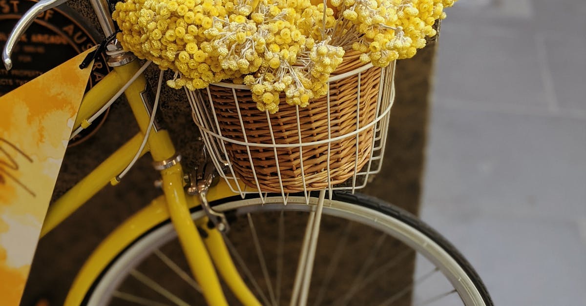 Integrating Acupuncture into Your Wellness Routine for Better Energy