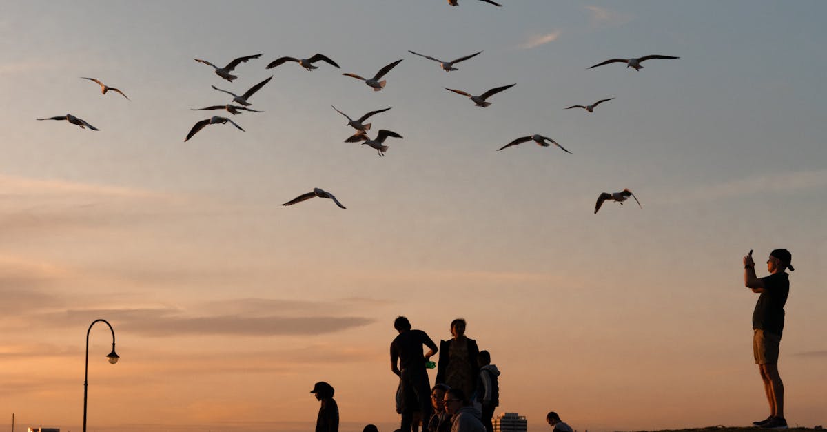 Top Rated Acupuncture Clinics in Melbourne: What Patients Are Saying