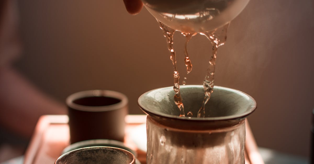 Understanding the Various Qualifications of Acupuncturists in Melbourne